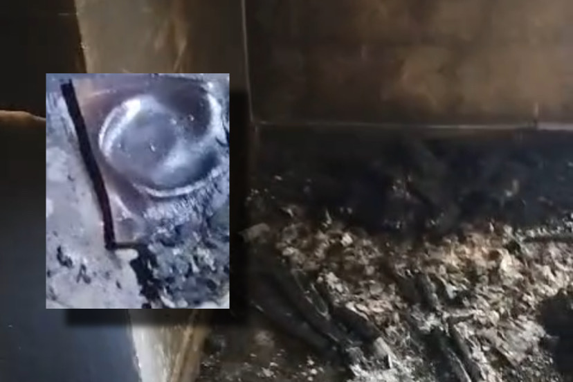 Cadela m0rre ao tentar salvar filhotes de incêndio provocado por traficantes em Manaus; veja vídeo