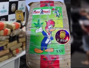 Vulgo "Careca" é preso após levar "maconha do Pica-Pau" do Amazonas para São Paulo; veja