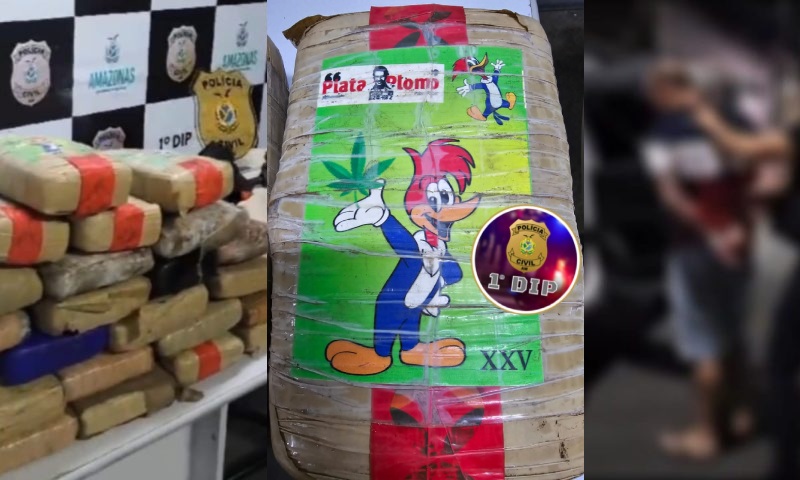 Vulgo “Careca” é preso tentando transportar “maconha do Pica-Pau” do Amazonas para São Paulo; veja