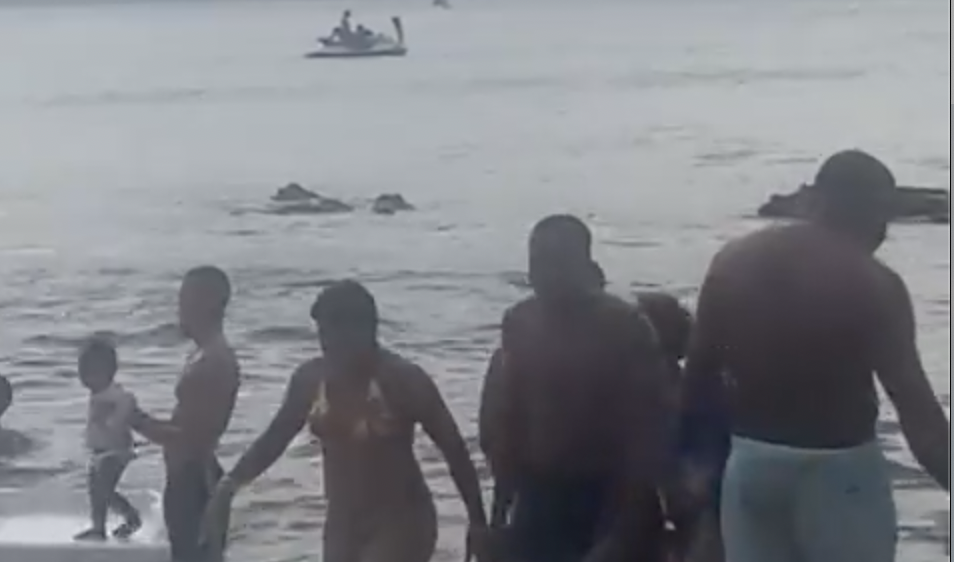 Nada tímida: ‘boazuda aventureira’ é filmada vivendo momento pic4nte em cima de jet ski; veja vídeo