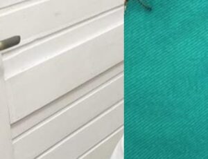 Covardia: mulher tem trauma irreversível após tentar impedir roubo em sua própria casa; CENA F0RTE