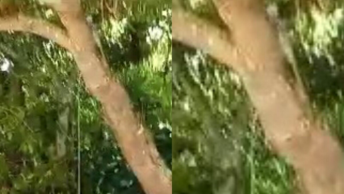 Pescador é encontrado m0rt0 por enf0rcamento em matagal; CENAS F0RTES