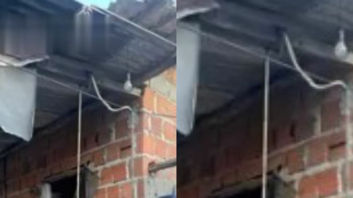 Homem é encontrado m0rto por enf0rcamento no quintal da própria casa; CENAS F0RTES