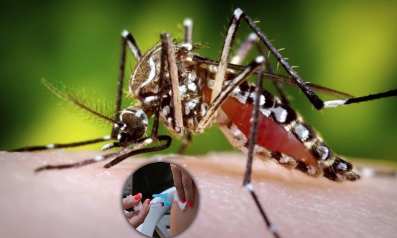 Recorde de mortes por dengue em 2023 levanta debate sobre falta de vacinação no Brasil