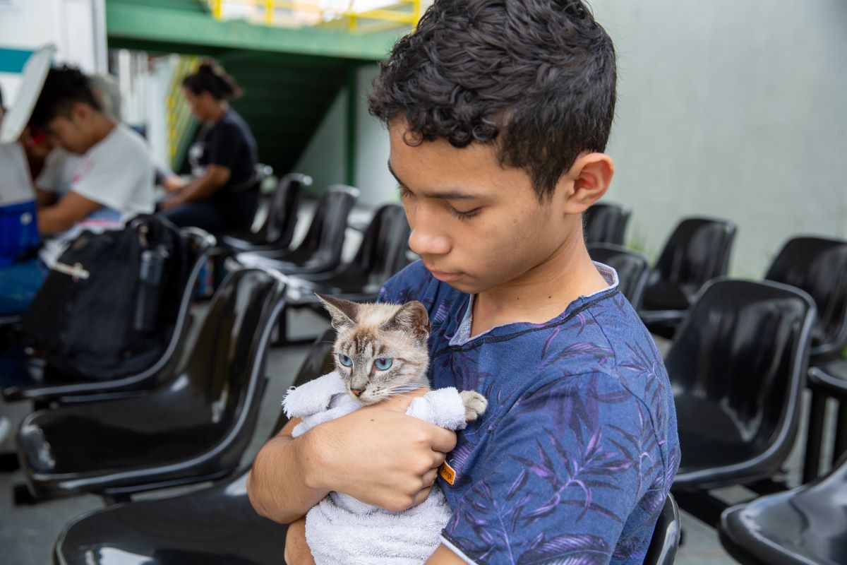 Centro de Zoonoses da Prefeitura de Manaus realiza agendamento para castração de gatos na zona Norte