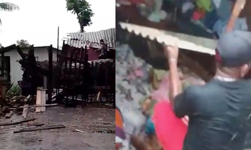 Árvore desaba e atinge homem durante forte chuva em Parintins; veja vídeo