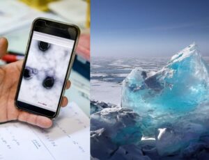 ‘Vírus zumbis’ congelados há 48 mil anos na Sibéria podem desencadear nova pandemia, alertam cientistas