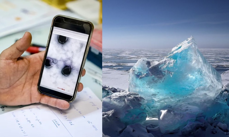 ‘Vírus zumbis’ congelados há 48 mil anos na Sibéria podem desencadear nova pandemia, alertam cientistas