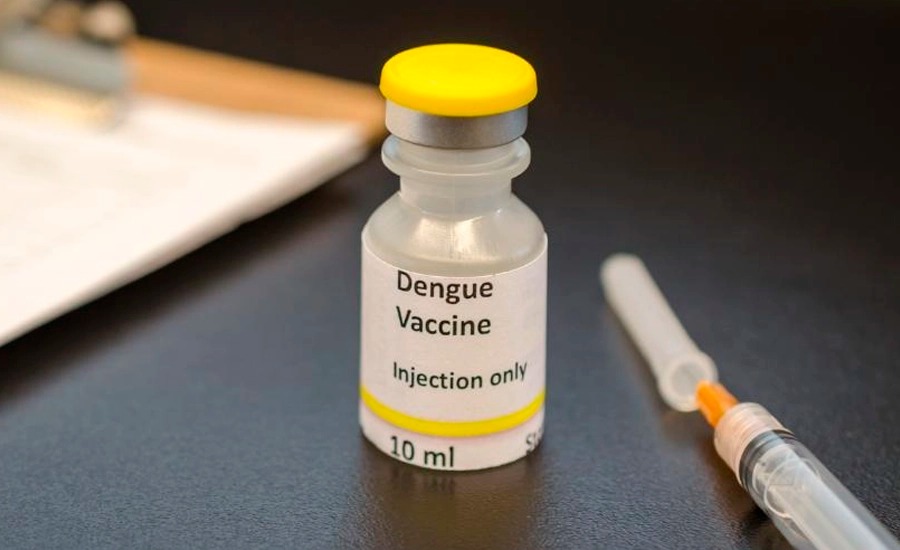 Vacinação contra dengue: 12 cidades do Amazonas vão receber o imunizante