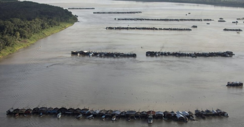 Riquezas Naturais da Amazônia: combate à exploração irregular e operações policiais intensificadas