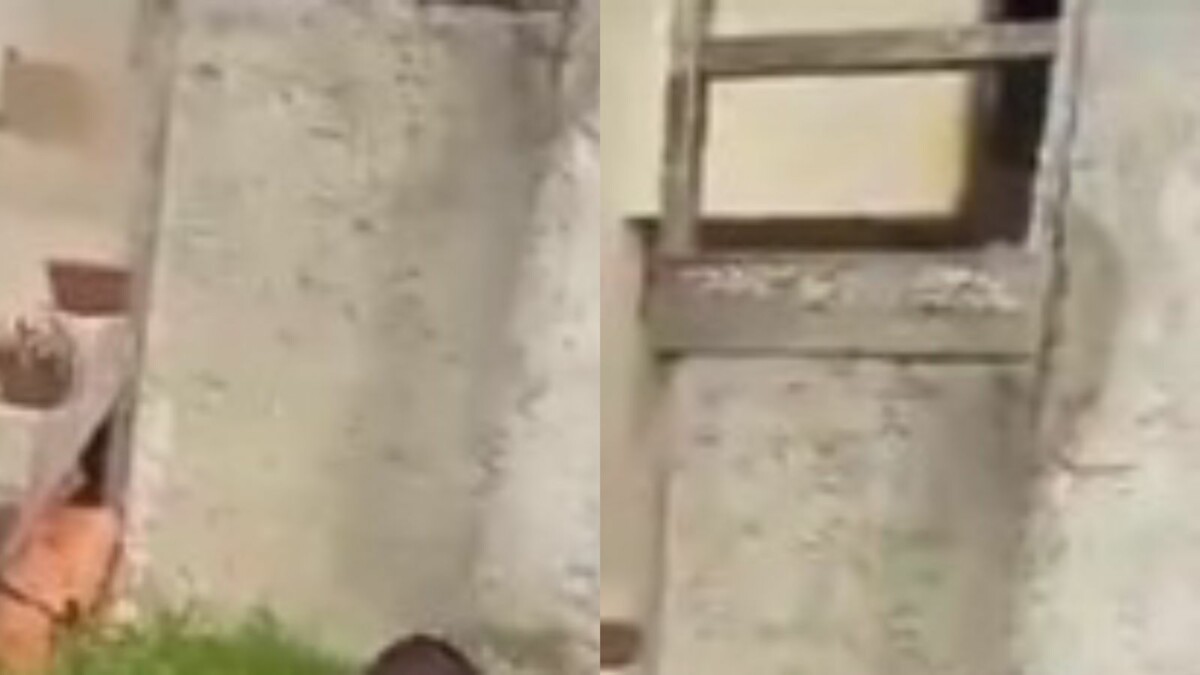 Irmãos gêmeos são ex3cutados por justiceiro após cometerem diversos roubos; CENAS FORTES