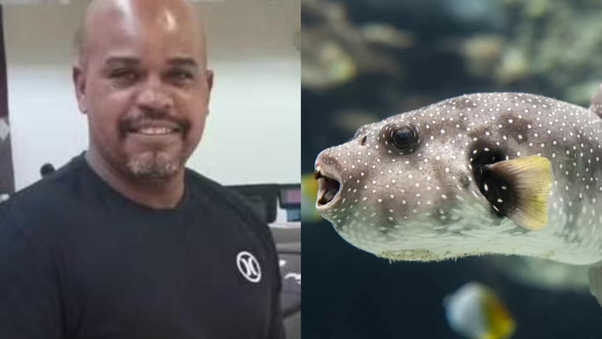 Homem m0rre após comer peixe baiacu recebido de amigo