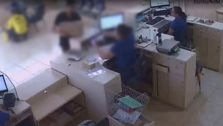 Tráfico de animais: jiboia e jacaré são encontrados em encomenda dos correios na BR-319