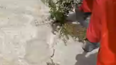 Com mãos amarradas, comerciante e funcionário são ass4ssinados por facção criminosa; veja vídeo