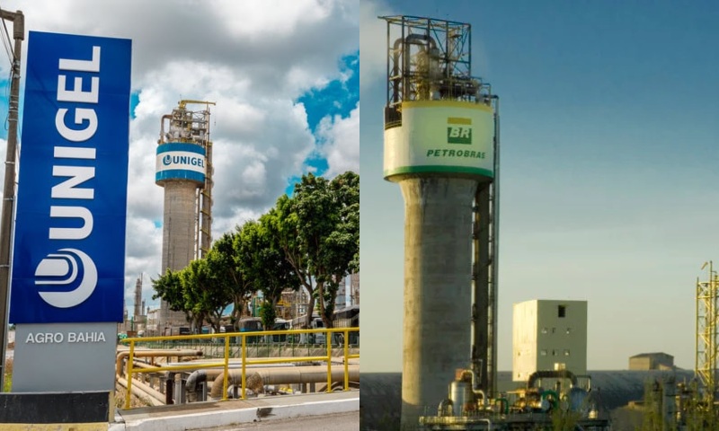 TCU indica prejuízo de R$ 500 milhões em contrato da Petrobras e Unigel