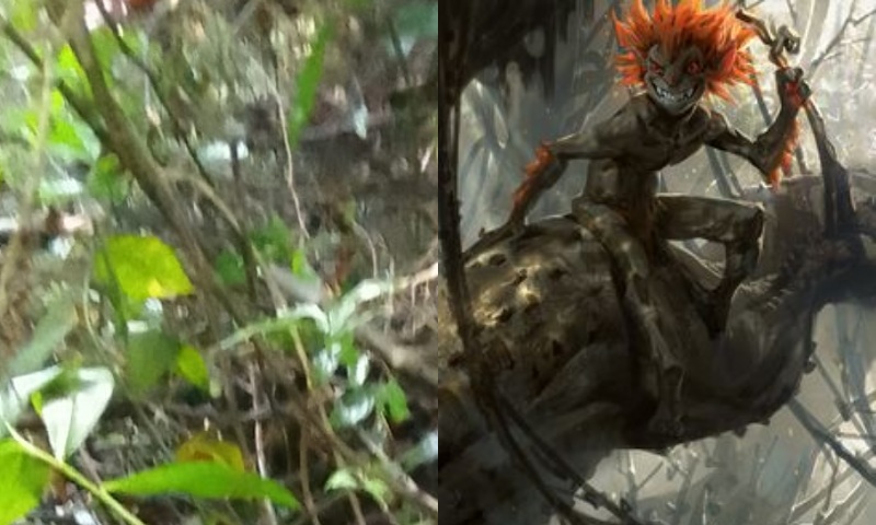 “A LENDA É REAL”: pescador é m0rto pelo Curupira: “ele tava xingando o bicho”, dizem familiares; veja vídeo