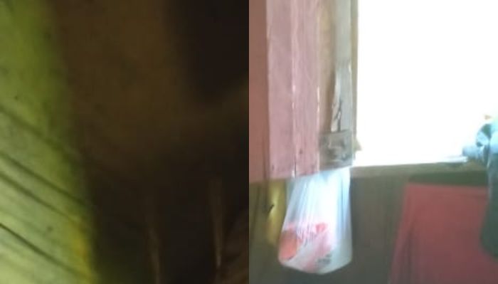 Homem m0rre após levar fac4d4 no peito dentro de casa em Tefé; imagens fortes