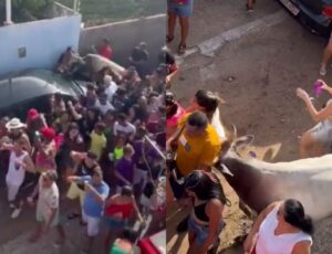 Vaca invade folia e deixa rastro destruição durante Carnaval; veja vídeo