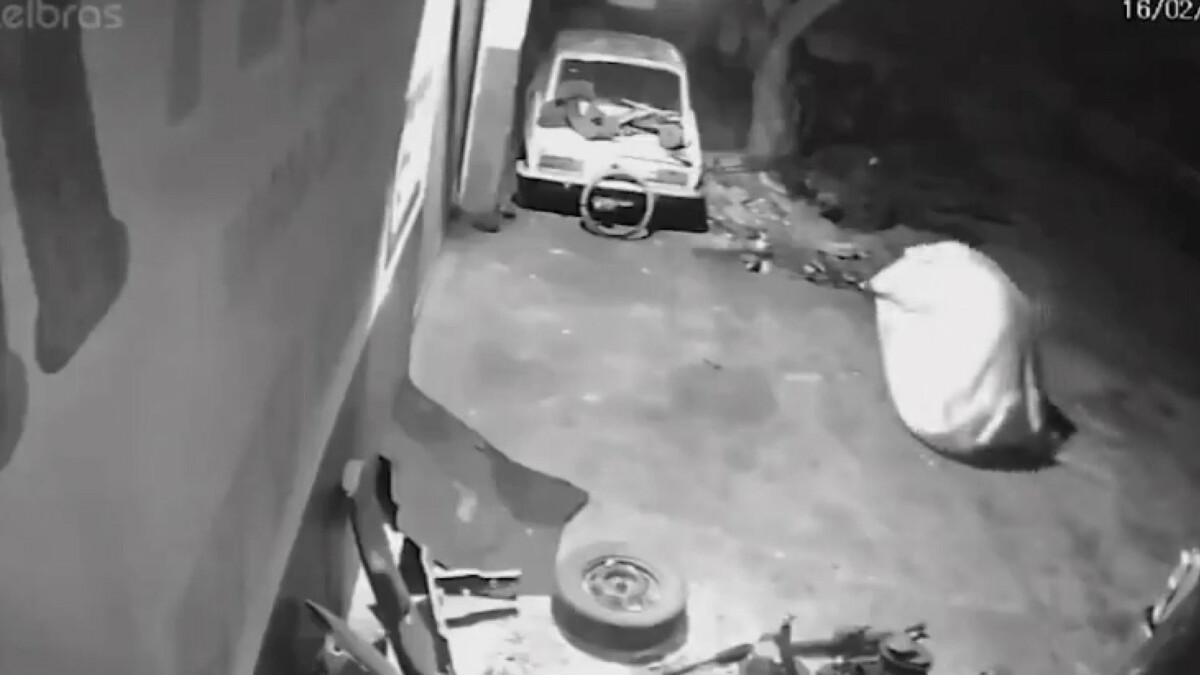 Fantasma? Criminoso usa lençol para esconder identidade durante roubo; veja vídeo