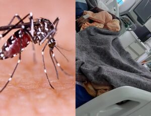 Casos de Dengue aumentam e Amazonas já se preocupa com UTIs