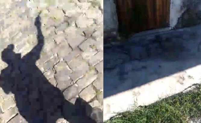 Guerra de ciganos: matad0r grava execuçã0 de jovem no Santa Luzia; imagens f0rtes