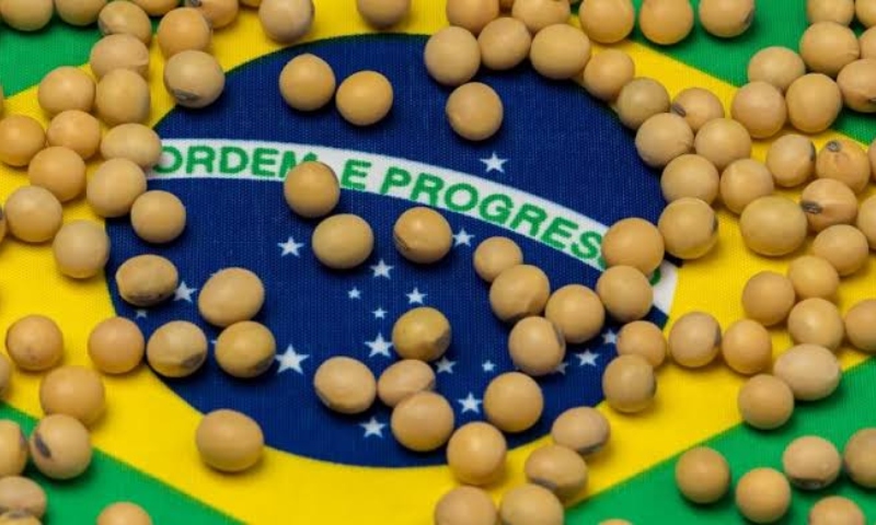 ‘Crise precisa ser contida’, diz presidente da FPA sobre preço da soja e outras commodities