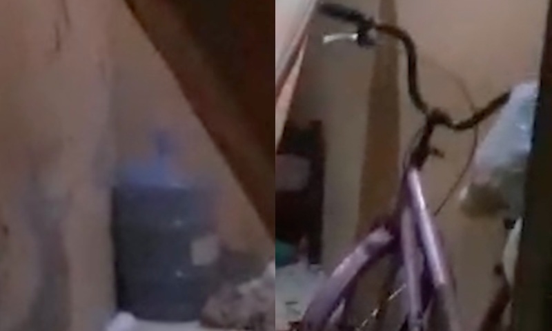 REVOLTANTE: crianç4s são mort4s por pistoleir0s do tráfico que invadiram a casa errada; veja vídeo
