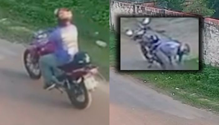 CRUELD4DE: cachorro é arrast4d0 por moto em rua no Amazonas: veja vídeo