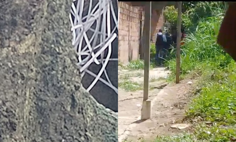 URGENTE: facção esmag4 cabeç4 de rival no bairro Petrópolis; veja vídeo