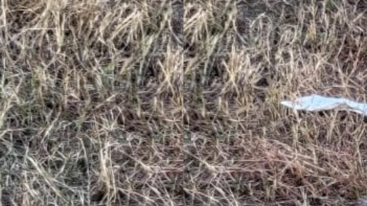 Sem r0upas, homem é encontrado m0rto a f4cadas em terreno baldio; IMAGENS FORTES