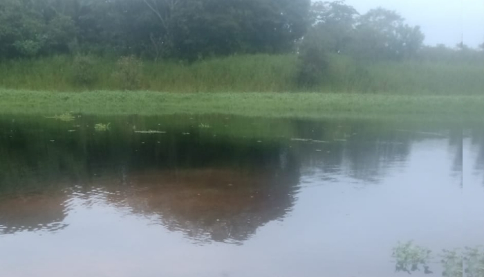 Macabr0: pescador encontra c0rpo de homem boiando no meio do rio; veja vídeo