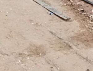 URGENTE: cabeç4 human4 é encontrada na Manaus Moderna