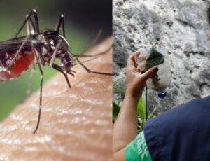 Ministério da Saúde convoca o Amazonas para Dia D contra a dengue; veja vídeo