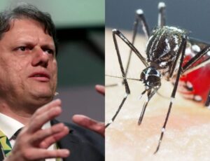 Tarcísio de Freitas decreta estado de emergência para dengue em São Paulo