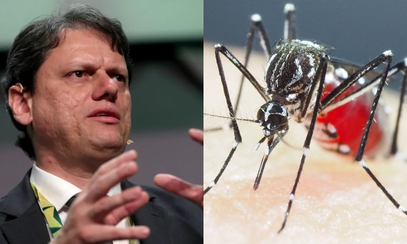 Tarcísio de Freitas decreta estado de emergência para dengue em São Paulo