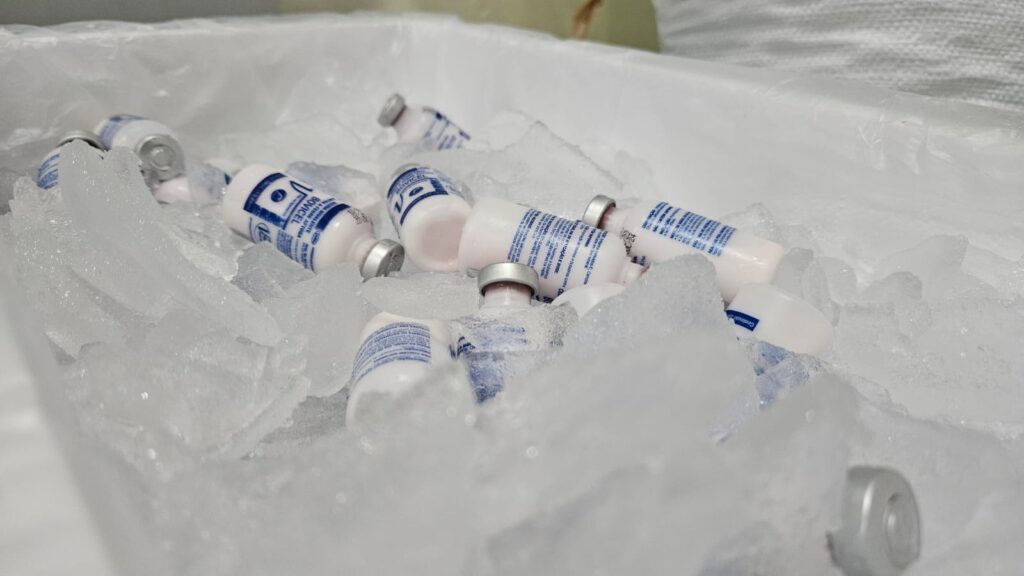 Idam envia primeira remessa de vacinas contra febre aftosa a seis municípios amazonenses