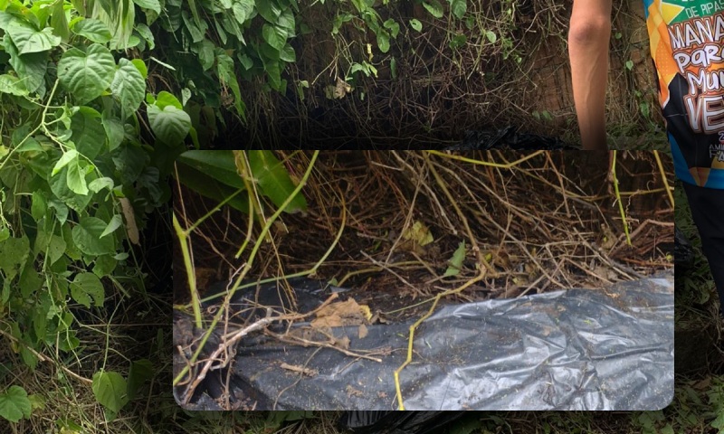 URGENTE: corp0 aprodecid0 é encontrado dentro de saco de lixo no bairro Japiim; CENAS F0RTES