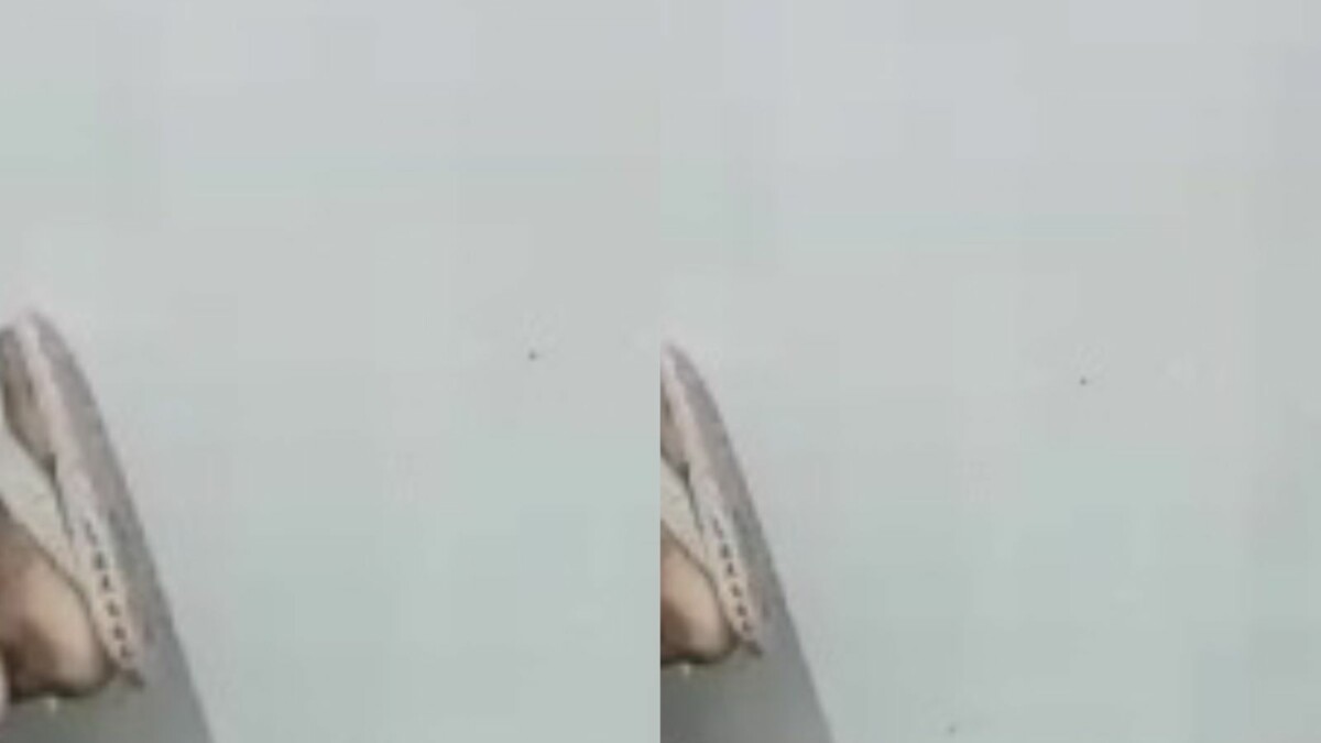 CENAS F0RTES: casal é am4rrado e brut4lmente ass4ssinado dentro de quitinete; veja vídeo