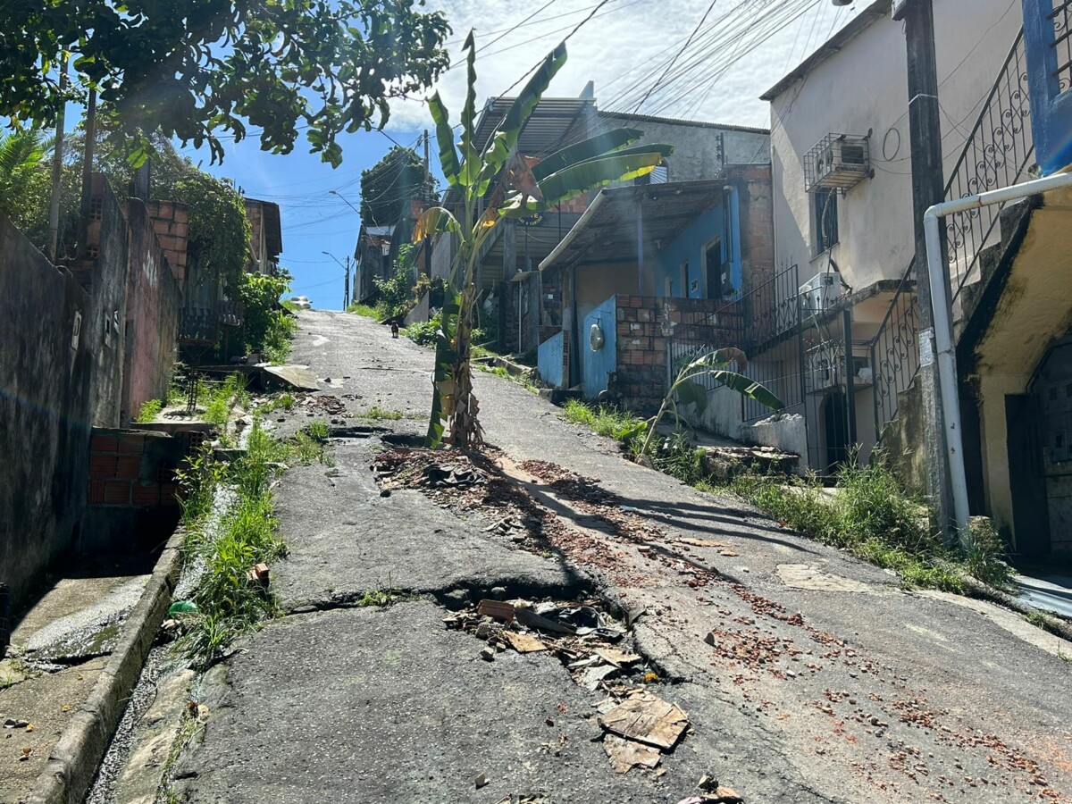 Bairro Colônia Santo Antônio: onde as bananeiras crescem melhor que o asfalto; veja vídeo
