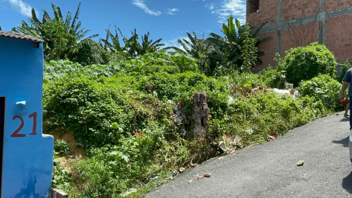 Moradores denunciam terreno abandonado tomado por usuários de drogas e prostituição no bairro Manoa; veja vídeo