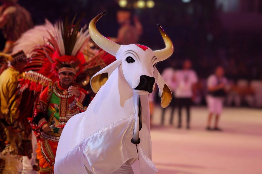Crise financeira ameaça tradição: Boi Garantido tem repasses bloqueados e dívida milionária