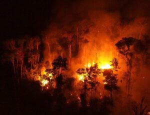 STF determina Plano de Combate a incêndios na Amazônia e no Pantanal