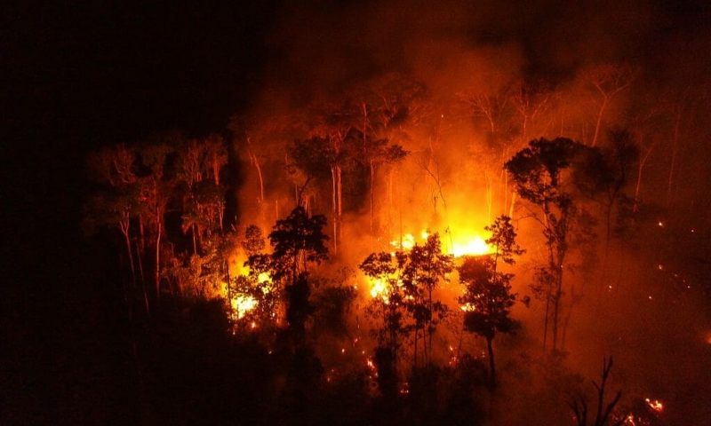 STF determina Plano de Combate a incêndios na Amazônia e no Pantanal