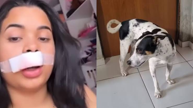 ‘O amor continua!’: Blogueira tem a boca arrancad4 ao tentar beijar o próprio cachorro; veja vídeo