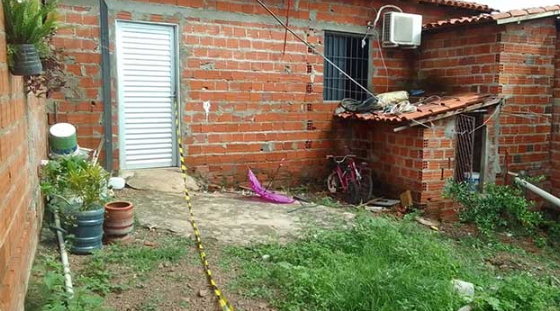 Tragédia: criança de 8 anos m0rre após ser atac4da por pitbull