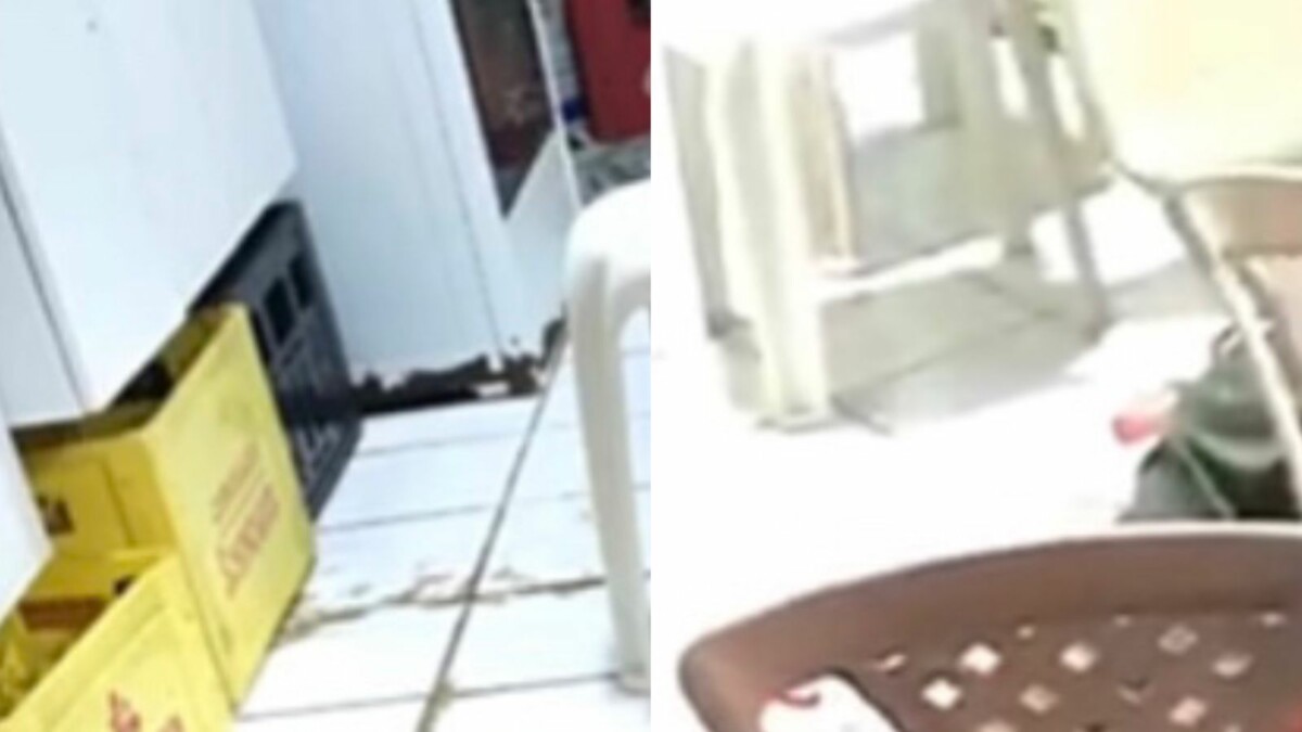 CENAS FORTES: homem ag0niza até a m0rte ao ter a g4rganta c0rtada em br1ga de bar