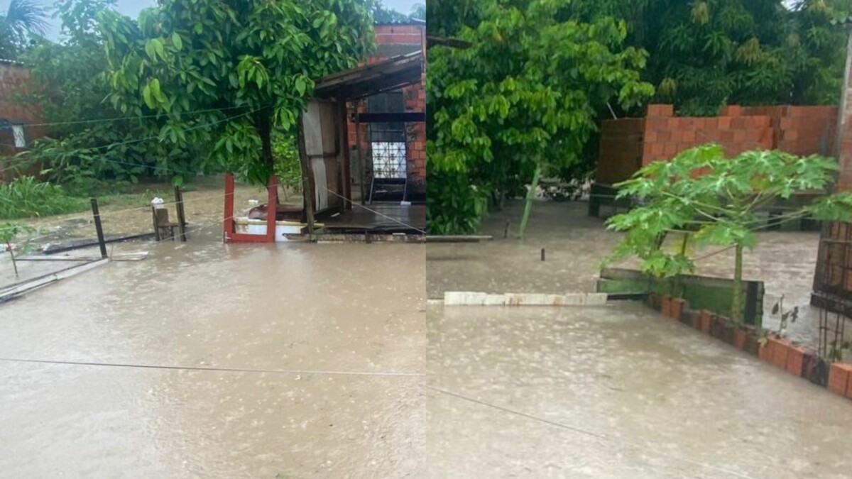Temporal em Manaus: Defesa Civil registra mais 9 ocorrências de chuva na tarde deste domingo (24)
