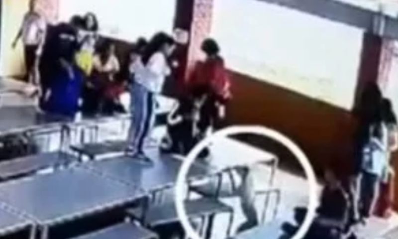 Pânico: Pit-bull invade escola e at4ca crianças; veja vídeo