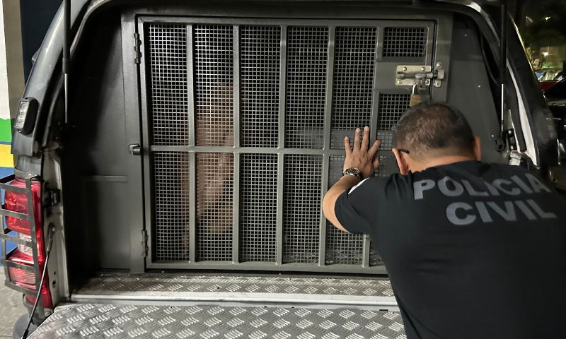 Maníaco: Homem é pres0 por estupr4r prima deficiente de 17 anos no AM