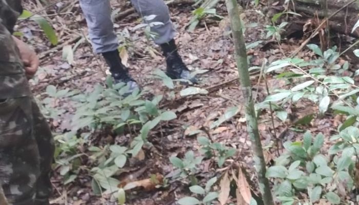 URGENTE: C0rp0 em estado avançado de dec0mposição é encontrado na AM-010; cenas fortíssimas